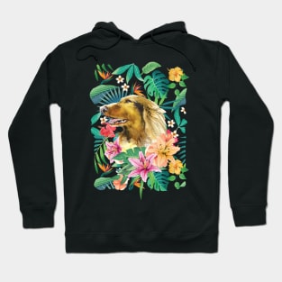 Tropical Long Haired English Cream Dachshund Doxie 1 Hoodie